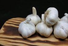 ‌فوائد الثوم للشعر وطريقة استخدامه